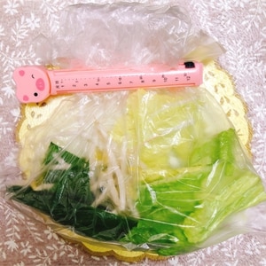 野菜たっぷり❗️ひとりぶんの鍋野菜セット2回分